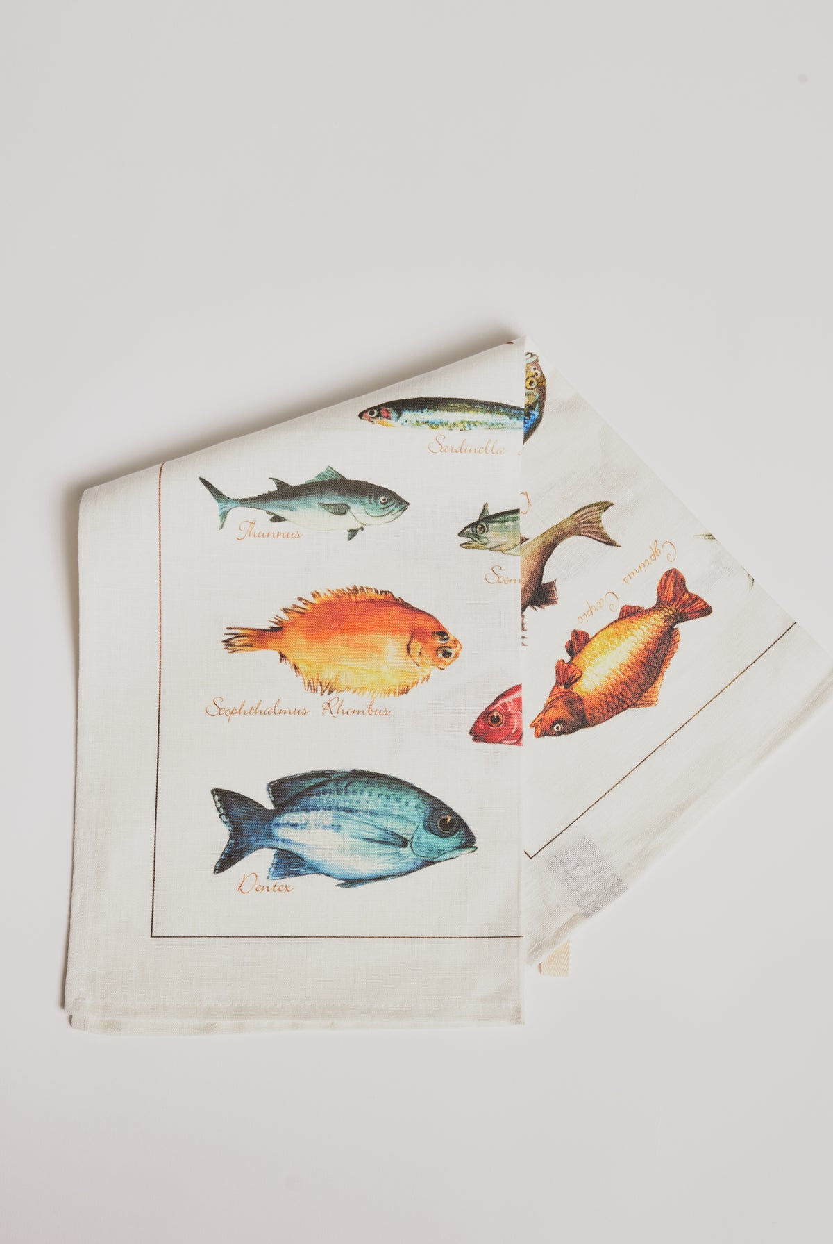 Kitchen Towel - La Mer Pesci / Fish - Cigale & Fourmi