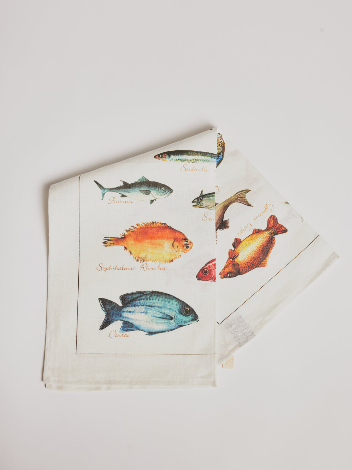 Kitchen Towel - La Mer Pesci / Fish - Cigale & Fourmi