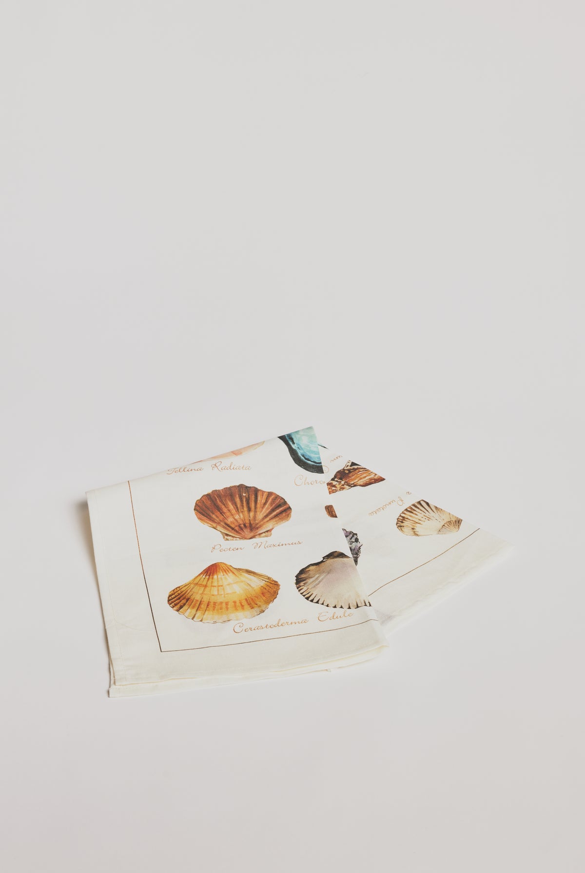 Kitchen Towel - La Mer Crostacei / Seashell - Cigale & Fourmi