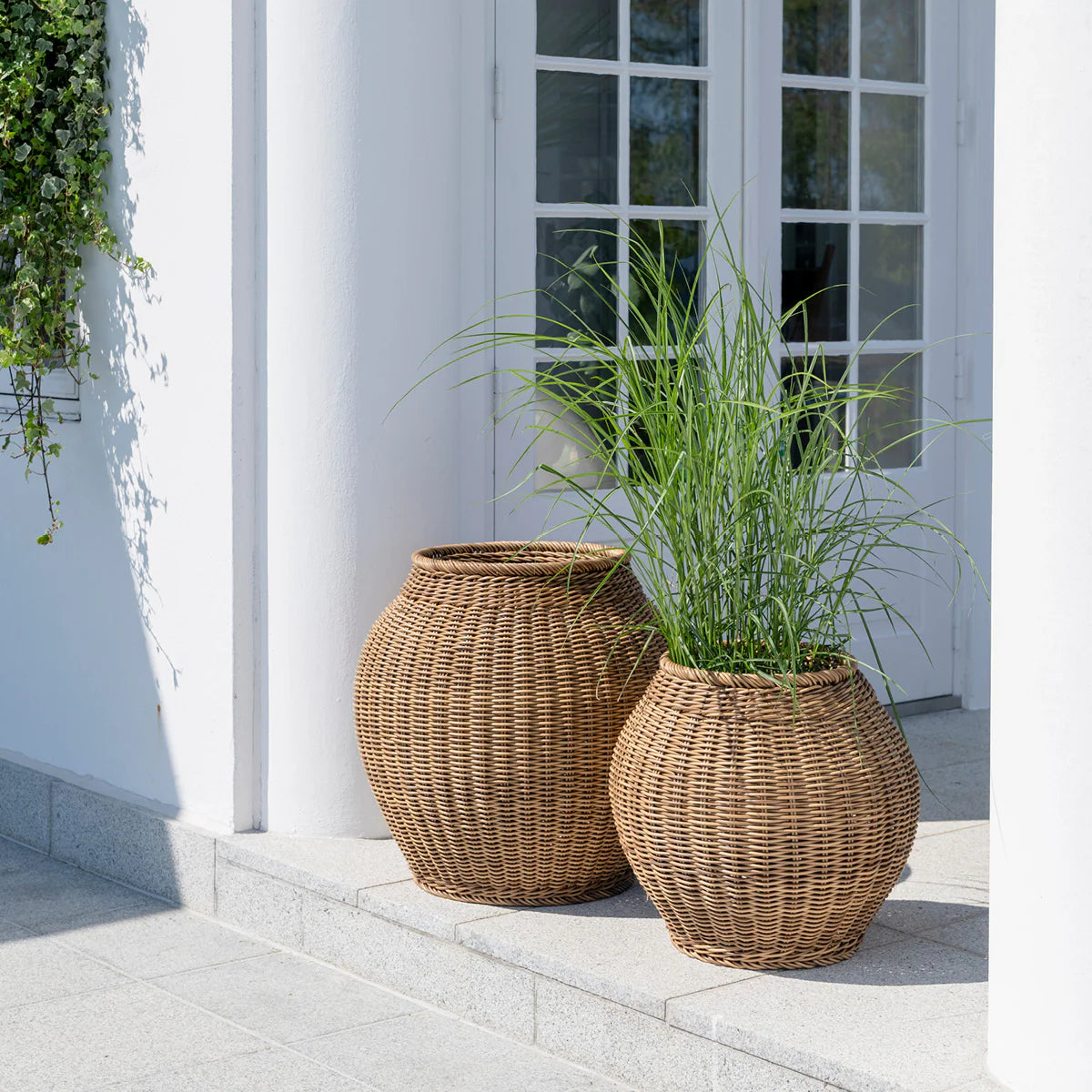 Ellis Basket - Outdoor - Cigale & Fourmi