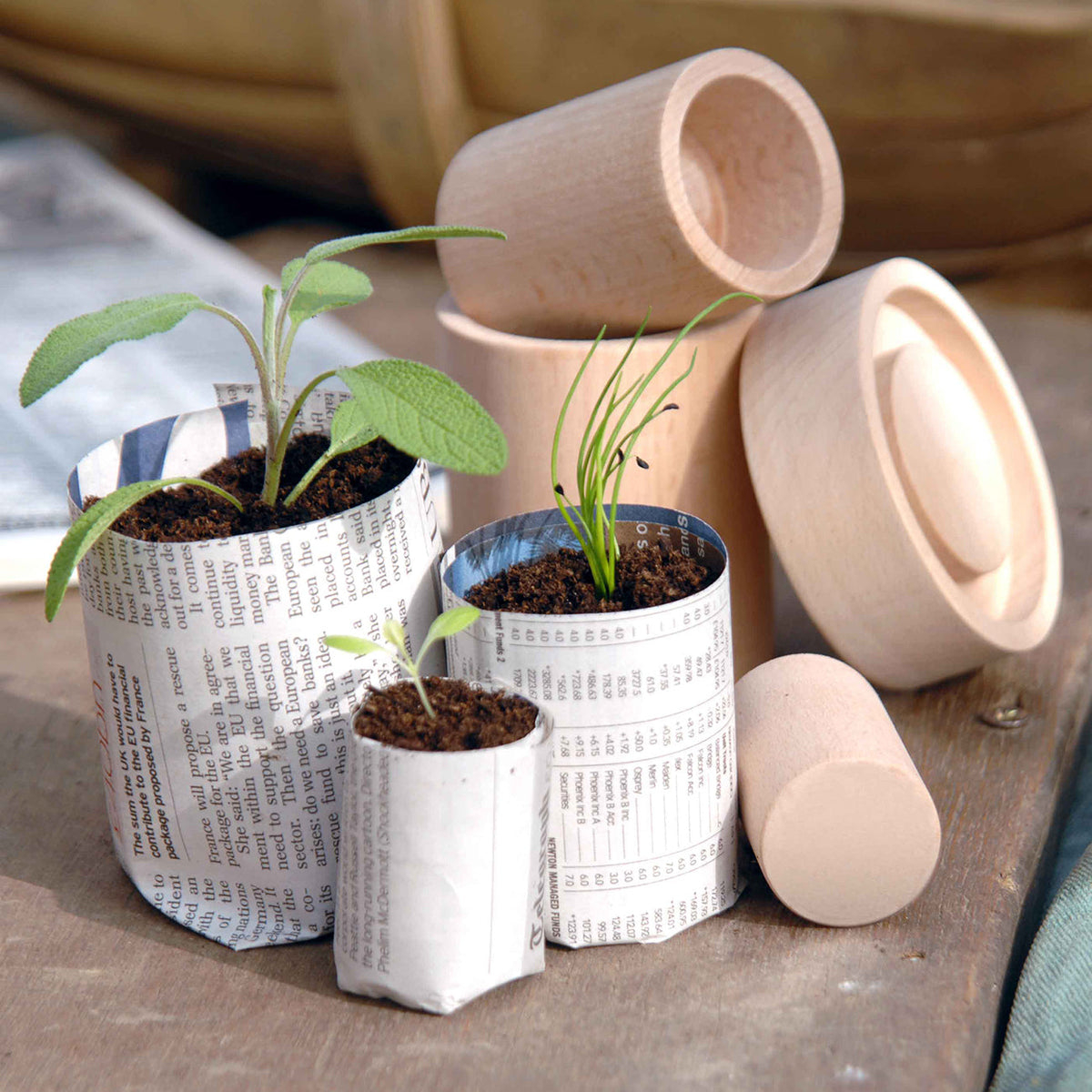 Seed Pot Maker - Growing Gardener