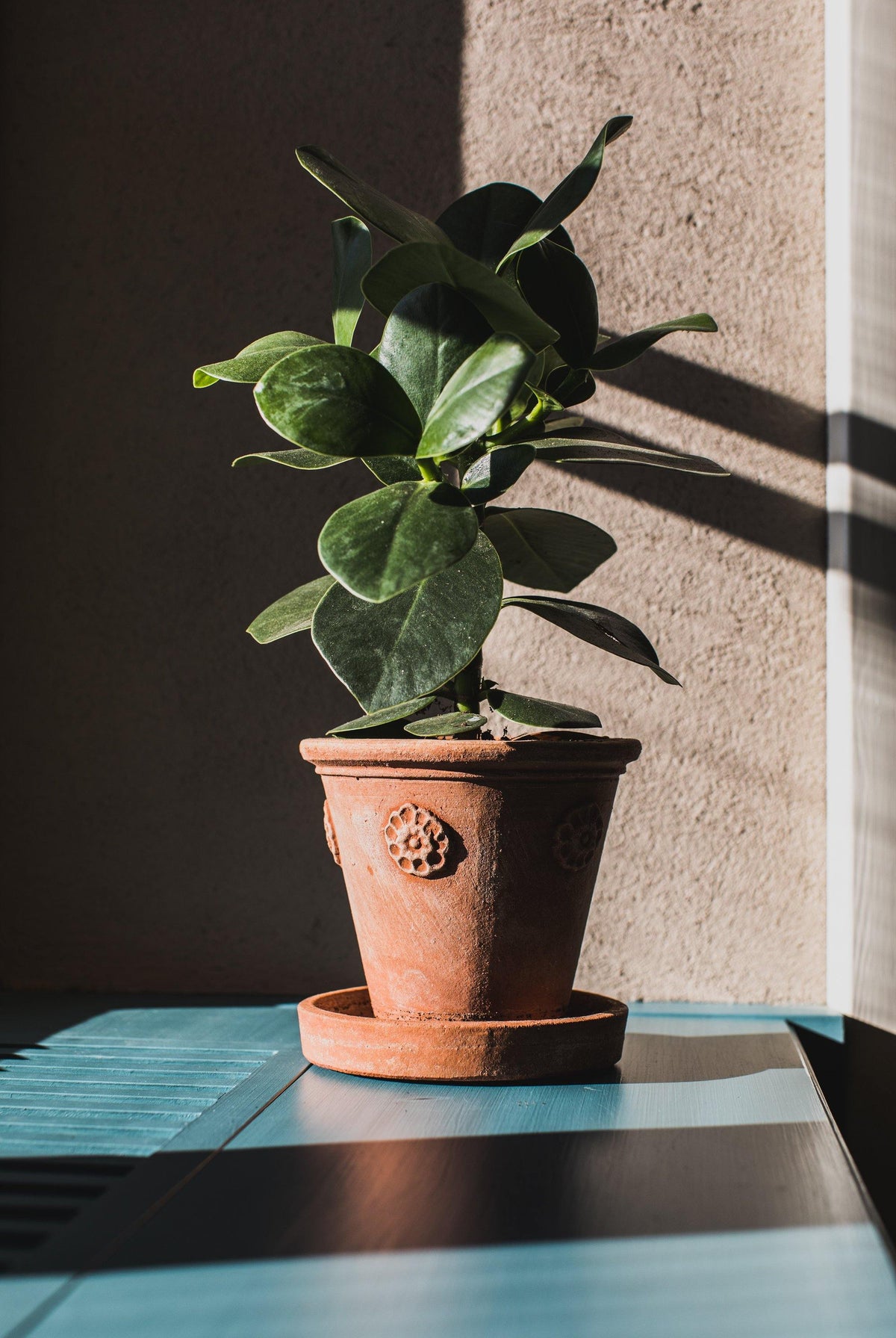 Vasetto Con Rosette - Terracotta Pottery M.I.T.A.L