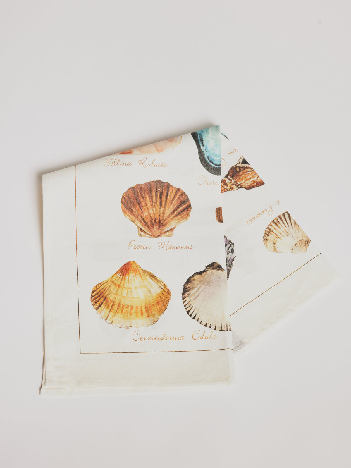 Kitchen Towel - La Mer Crostacei / Seashell - Cigale &  Fourmi
