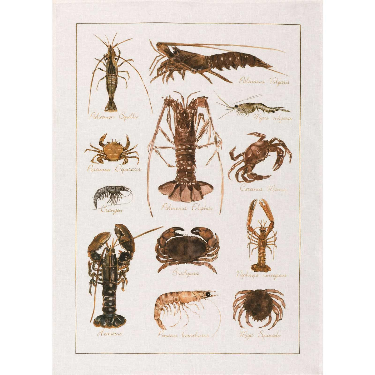 Kitchen Towel - La Mer Crostacei / Crabs - Cigale &  Fourmi