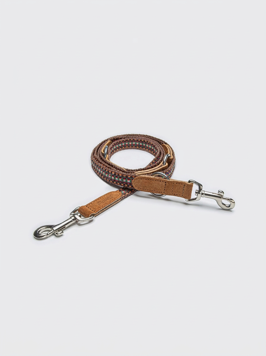 Dog Leash - Prater Sunset — Cigale & Fourmi